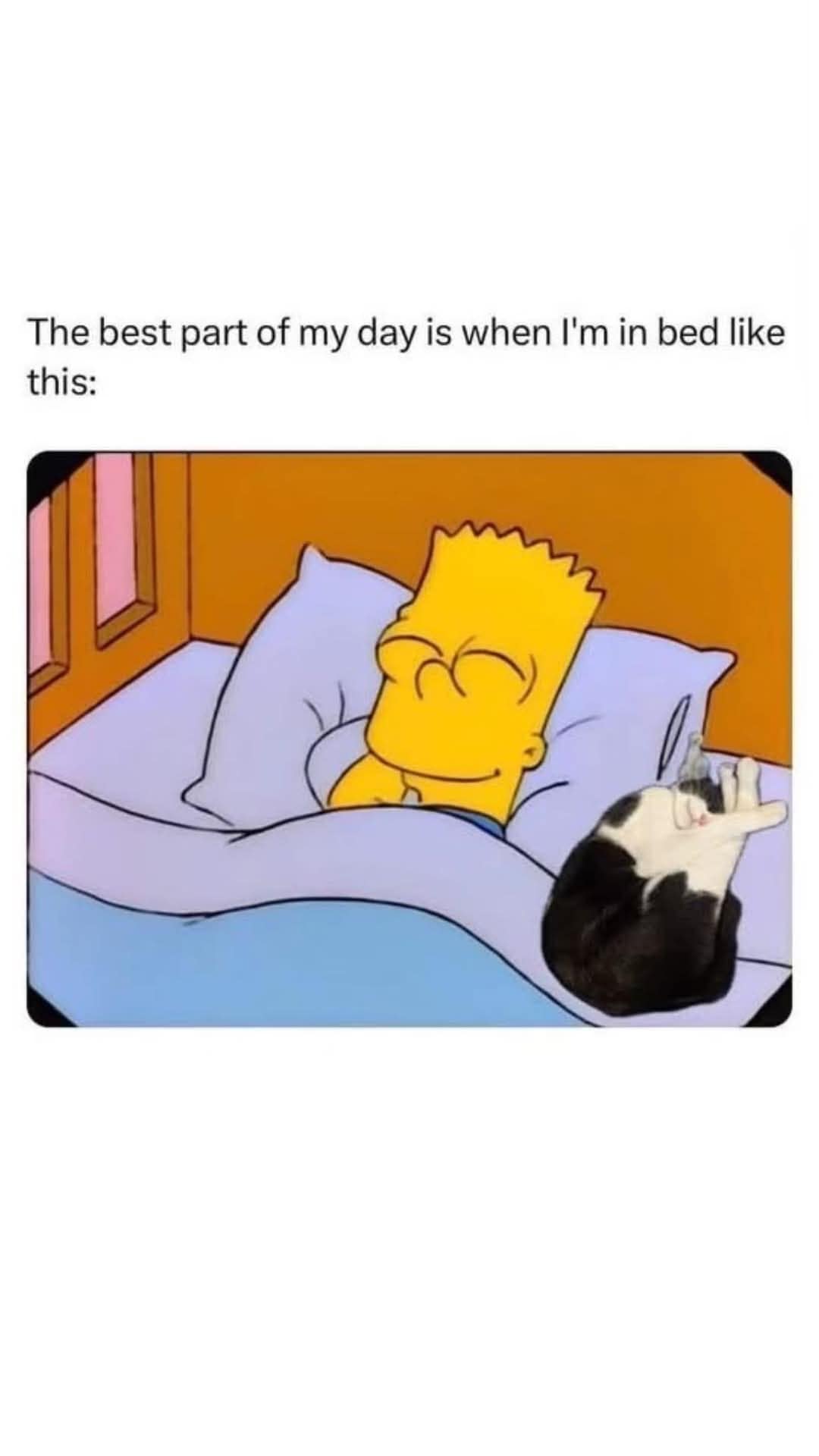 The best part of my day is when I'm in bed like this: