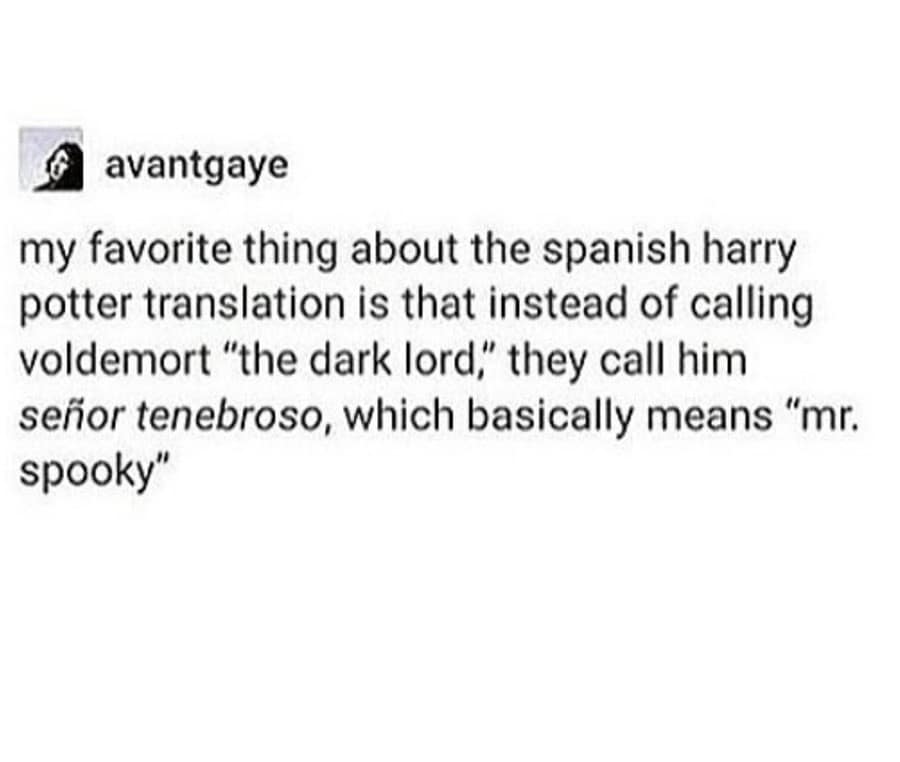 avantgaye my favorite thing about the spanish harry potter translation is that instead of calling voldemort "the dark lord," they call him señor tenebroso, which basically means "mr. spooky"