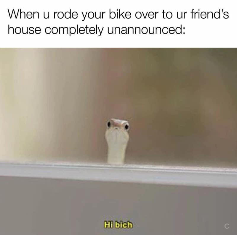 When u rode your bike over to ur friend's house completely unannounced: HI bich