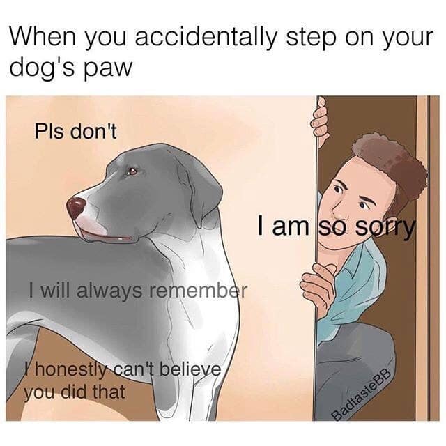 classic memes, vintage memes, viral tweets, funny memes, old memes, best memes, retro memes, iconic memes, timeless memes, meme classics, evergreen memes, throwback memes, legendary memes, nostalgic memes, meme archive, internet classics, meme throwbacks, historic memes, viral memes, meme nostalgia, vintage internet jokes