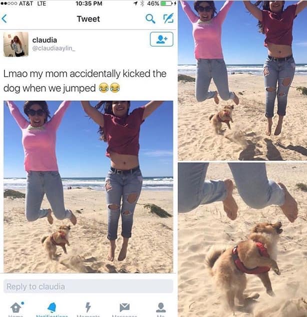 classic memes, vintage memes, viral tweets, funny memes, old memes, best memes, retro memes, iconic memes, timeless memes, meme classics, evergreen memes, throwback memes, legendary memes, nostalgic memes, meme archive, internet classics, meme throwbacks, historic memes, viral memes, meme nostalgia, vintage internet jokes