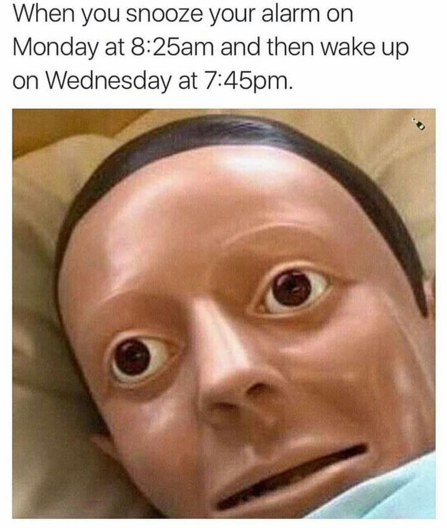 classic memes, vintage memes, viral tweets, old memes, viral humor, funny memes, internet nostalgia, relatable memes, timeless jokes, retro memes, iconic memes, meme classics, meme humor, throwback memes, best memes