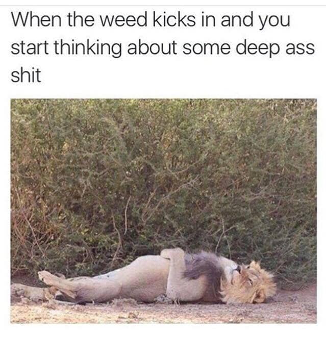 When the weed kicks in and you start thinking about some deep ass shit
