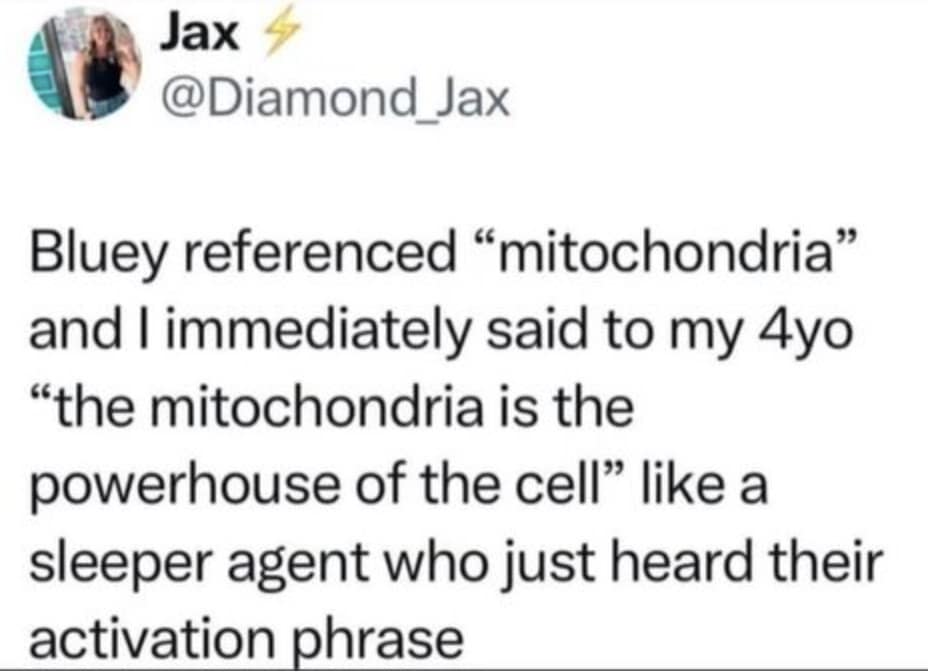 classic memes, vintage memes, viral tweets, timeless memes, retro memes, old memes, iconic memes, meme classics, throwback memes, evergreen memes, legendary memes, internet nostalgia, meme archive, historic memes, meme throwbacks, vintage internet jokes, retro humor, classic viral posts, meme history, internet classics, best memes