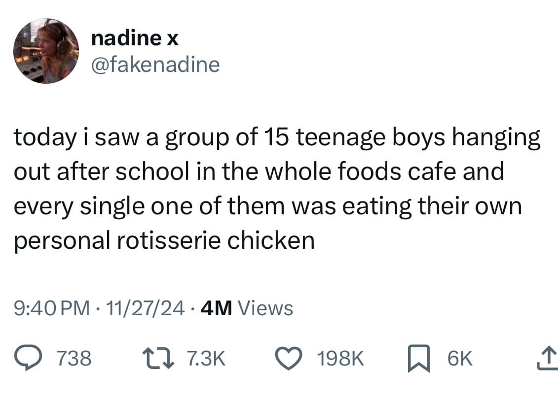 nadine x @fakenadine today i saw a group of 15 teenage boys hanging out after school in the whole foods cafe and every single one of them was eating their own personal rotisserie chicken 9:40 PM • 11/27/24 • 4M Views @ 738 t7 7.3K 0 198K 6K