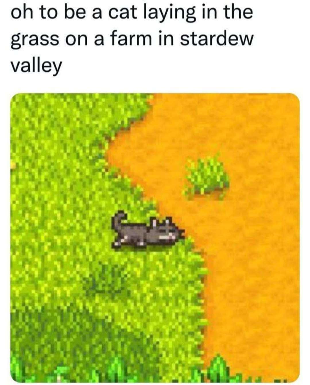 classic memes, vintage memes, viral tweets, old memes, viral humor, funny memes, internet nostalgia, relatable memes, timeless jokes, retro memes, iconic memes, meme classics, meme humor, throwback memes, best memes