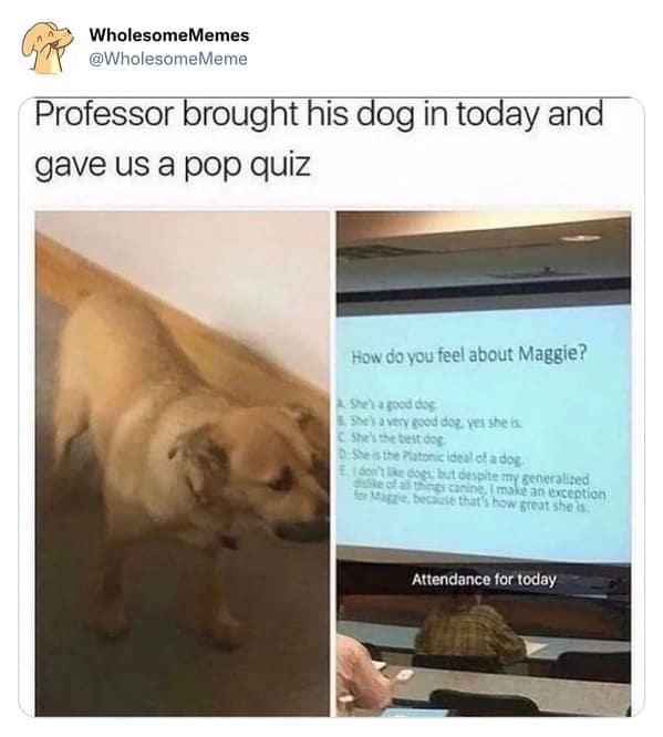 Professor brought his dog in today and gave us a pop quiz