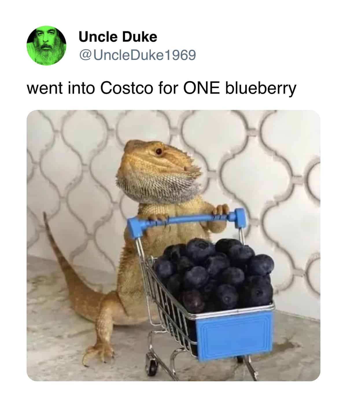 went into Costco for ONE blueberry