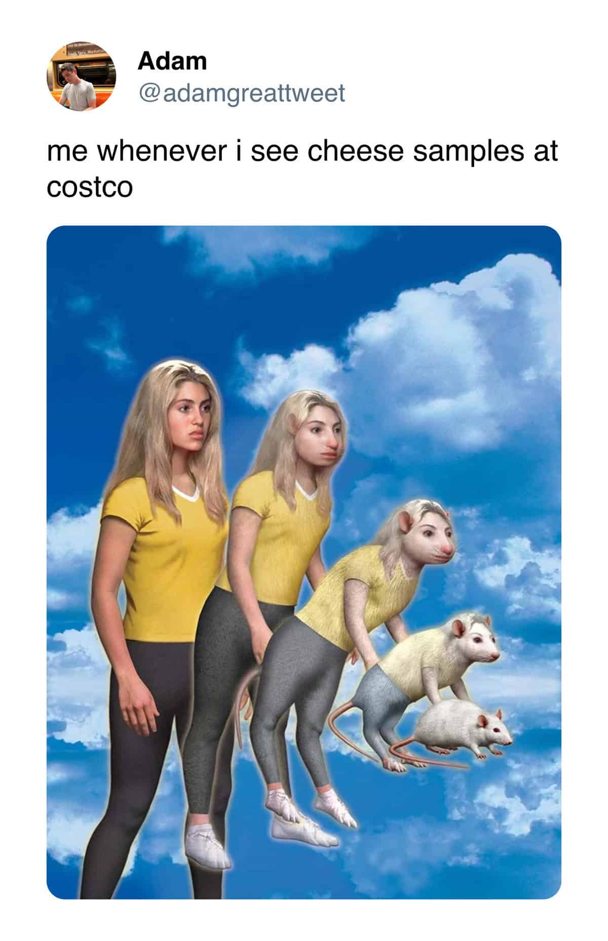 me whenever i see cheese samples at costco