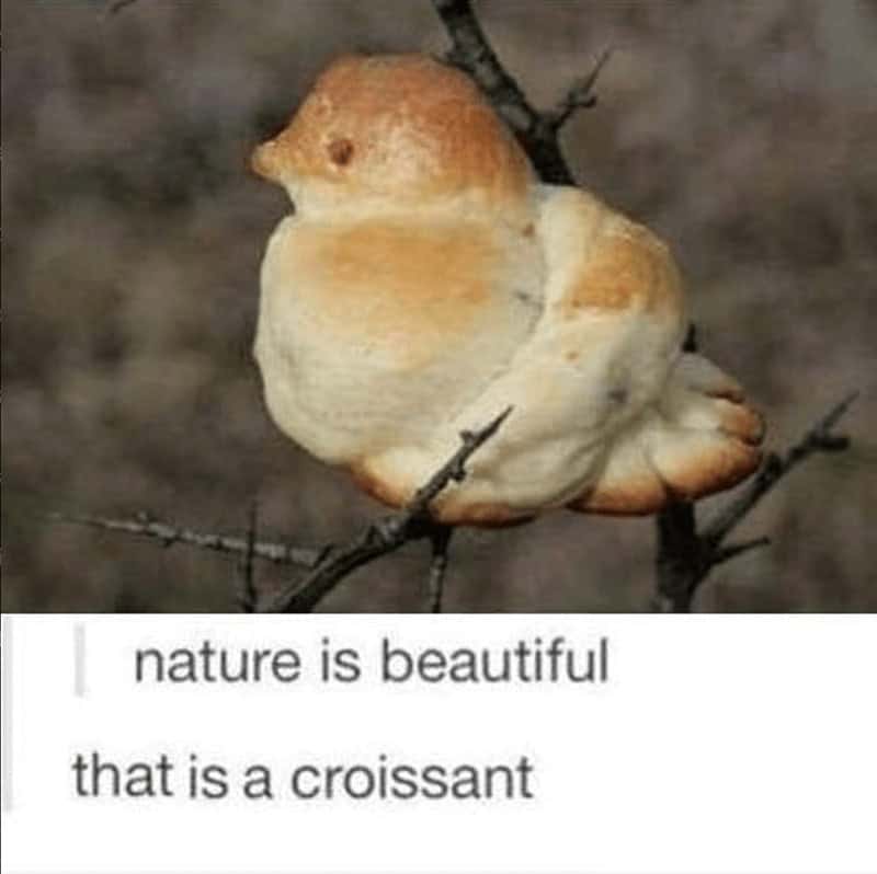 croissant meme, croissant memes, bread memes, pastry memes, breakfast memes, bakery jokes, flaky memes, butter memes, morning humor, pastry jokes