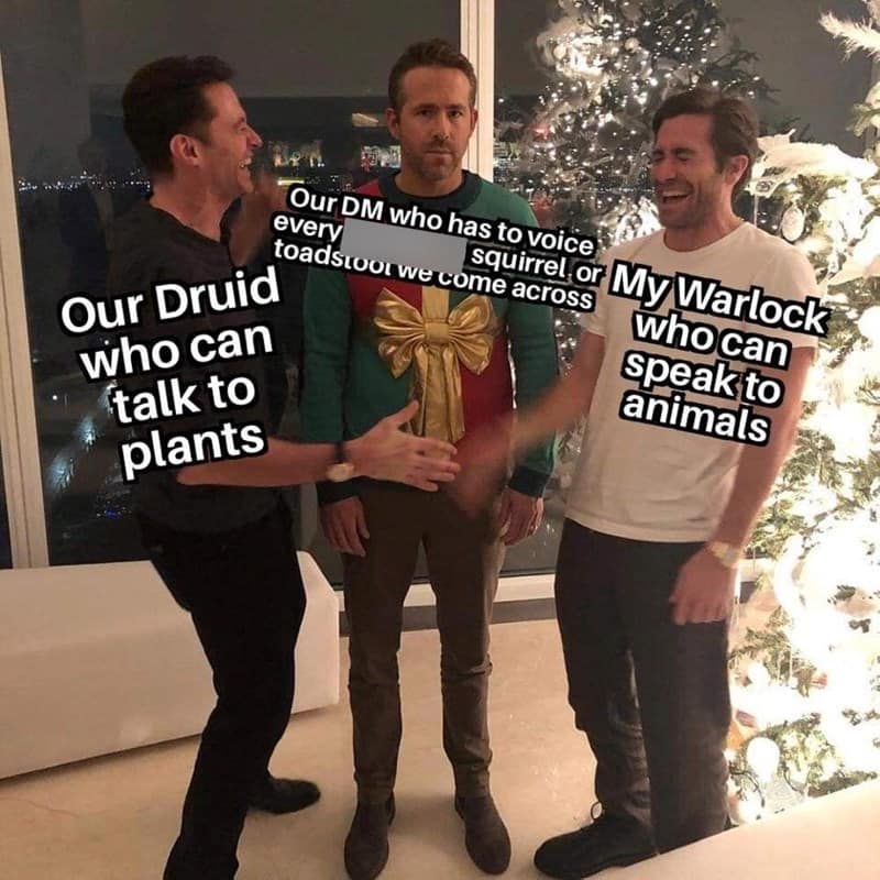 d&d memes, dnd memes, Dungeons & dragons, funny d&d memes, dice-based jokes, fantasy comedic bits, TTRPG humor, tabletop gaming, campaign illusions, collaborative quest jokes, roleplay humor, character-driven comedic lines, improvised scenario fun, dungeons and dragons jokes, d20 comedic quips, rpg meltdown commentary