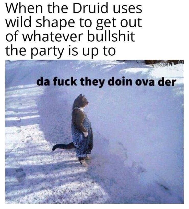 dnd memes, d&d memes, dungeons & dragons, Dungeons and Dragons memes, tabletop memes, RPG memes, dice memes, critical fail memes, dungeon master jokes, d20 memes, fantasy memes, adventurer memes, dnd memes funny, D&D memes funny