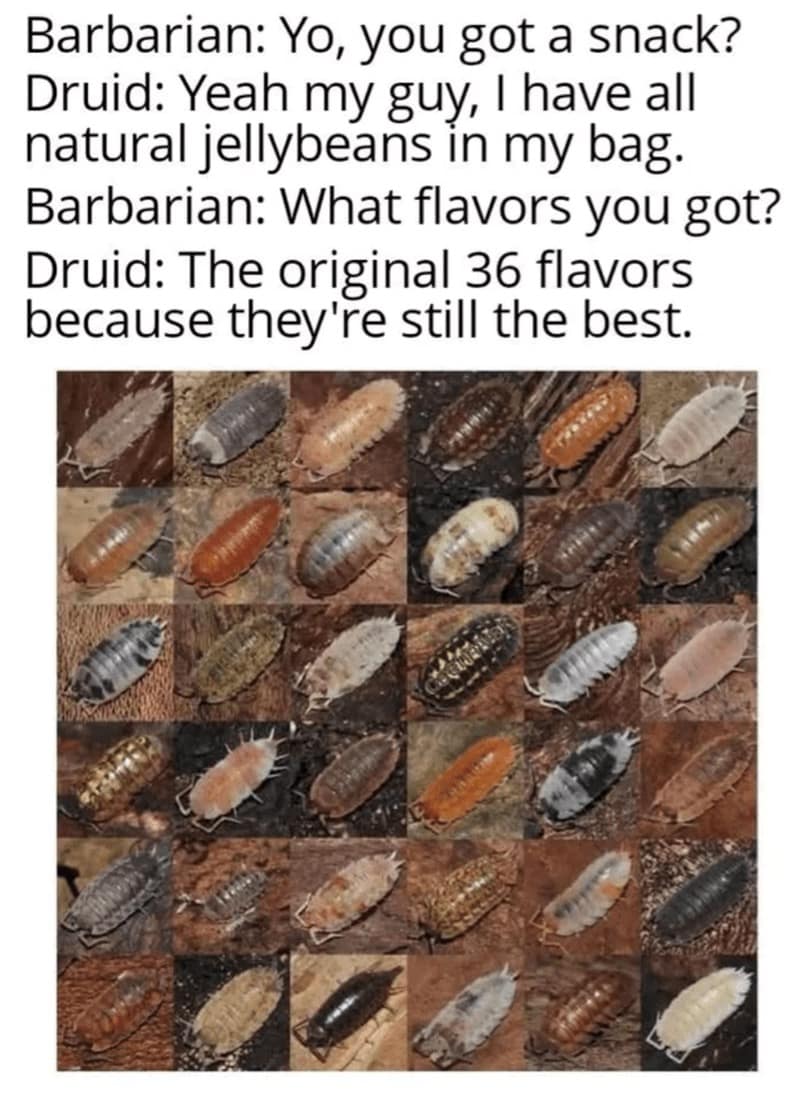 dnd memes, d&d memes, dungeons & dragons, RPG memes, tabletop memes, dice memes, roleplaying memes, D&D jokes, fantasy memes, tabletop RPG humor, crit fail memes, geek memes