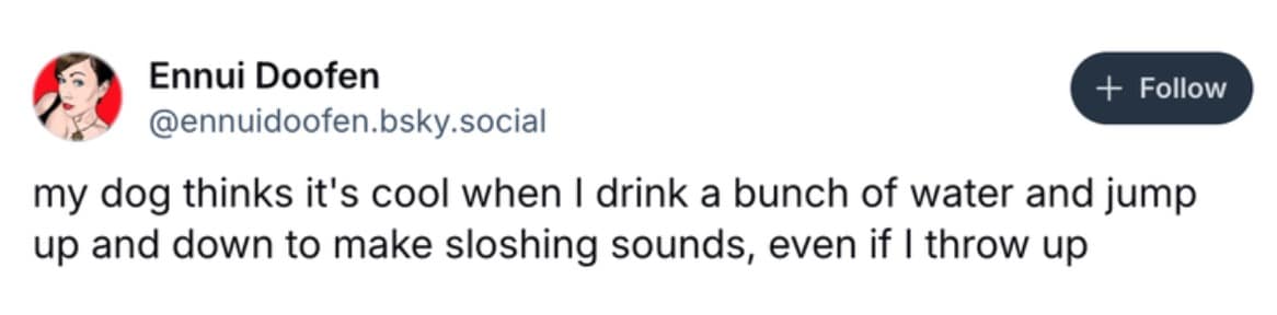 funny dog memes, dog memes, puppy memes, cute dogs, dog humor, funny pets, pet memes, canine memes, animal memes, relatable dog moments, hilarious dogs, dog lovers, funny dog pictures