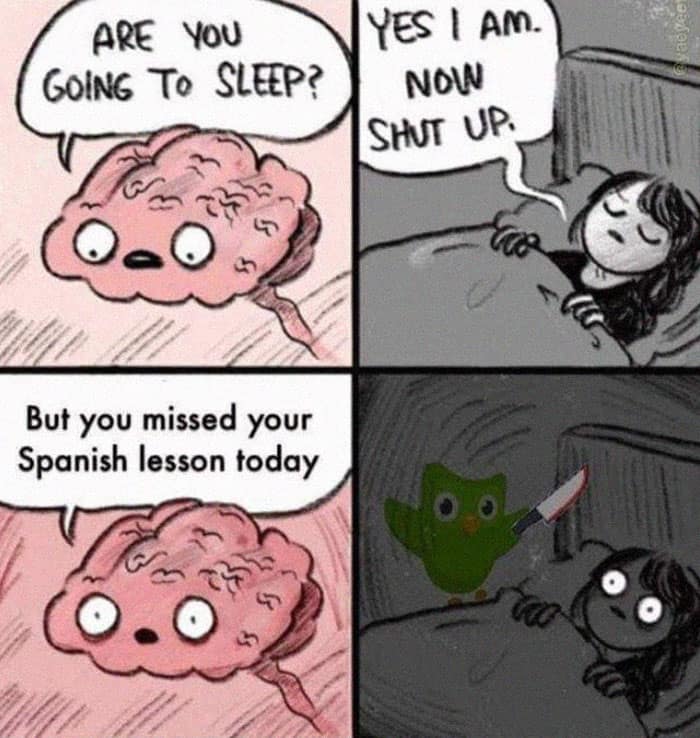 duo memes, duolingo owl memes, language learning memes, owl memes, funny memes, language memes, learning memes, Spanish memes, language app memes, Duo owl jokes, streak memes, Duolingo humor, study memes, app notification memes, funny language memes, learning jokes, Duolingo streak, owl jokes, practice memes, language jokes, meme collection