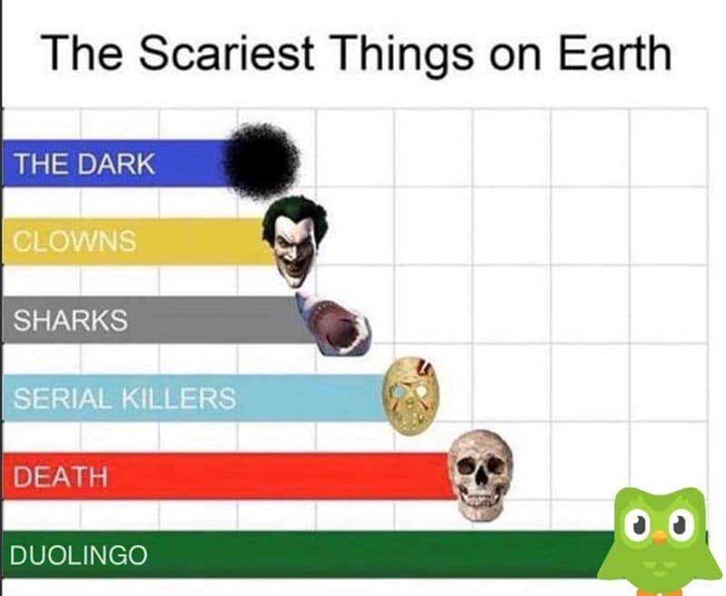 duo memes, duolingo owl memes, language learning memes, owl memes, funny memes, language memes, learning memes, Spanish memes, language app memes, Duo owl jokes, streak memes, Duolingo humor, study memes, app notification memes, funny language memes, learning jokes, Duolingo streak, owl jokes, practice memes, language jokes, meme collection