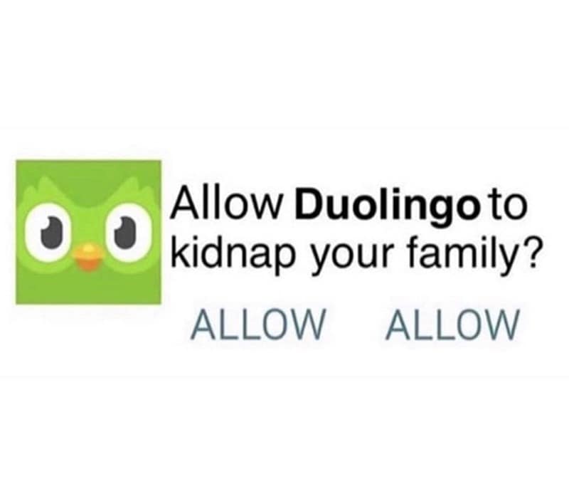 duo memes, duolingo owl memes, language learning memes, owl memes, funny memes, language memes, learning memes, Spanish memes, language app memes, Duo owl jokes, streak memes, Duolingo humor, study memes, app notification memes, funny language memes, learning jokes, Duolingo streak, owl jokes, practice memes, language jokes, meme collection