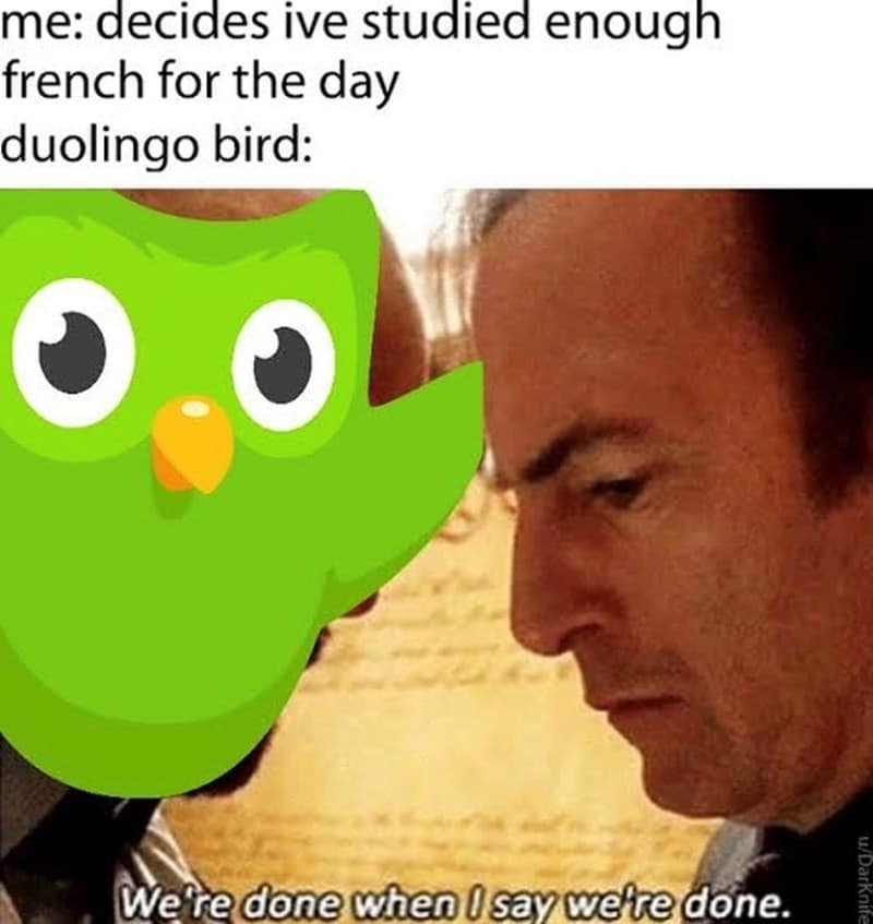 duo memes, duolingo owl memes, language learning memes, owl memes, funny memes, language memes, learning memes, Spanish memes, language app memes, Duo owl jokes, streak memes, Duolingo humor, study memes, app notification memes, funny language memes, learning jokes, Duolingo streak, owl jokes, practice memes, language jokes, meme collection