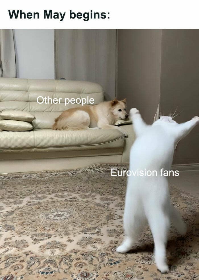 When May begins: Other people Eurovision fans