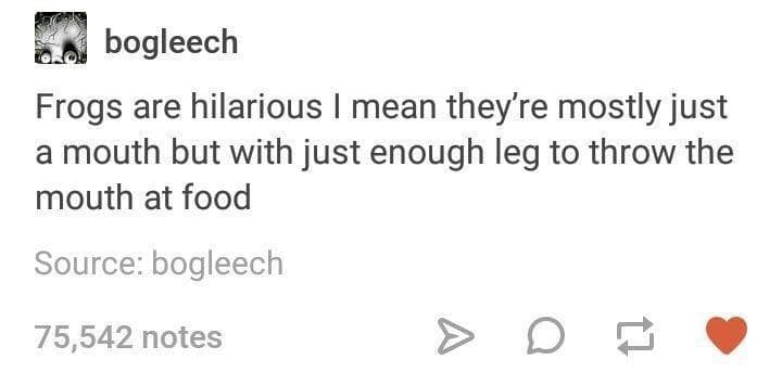 frog meme, frog memes, cute frog memes, toad memes, funny frog memes, amphibian memes, ribbit memes, frog jokes, frog humor, lily pad memes, swamp memes, hop memes, frog pictures, frog laughs, meme frogs, funny amphibian pics, toad jokes, frog lol, pond memes, frog collection