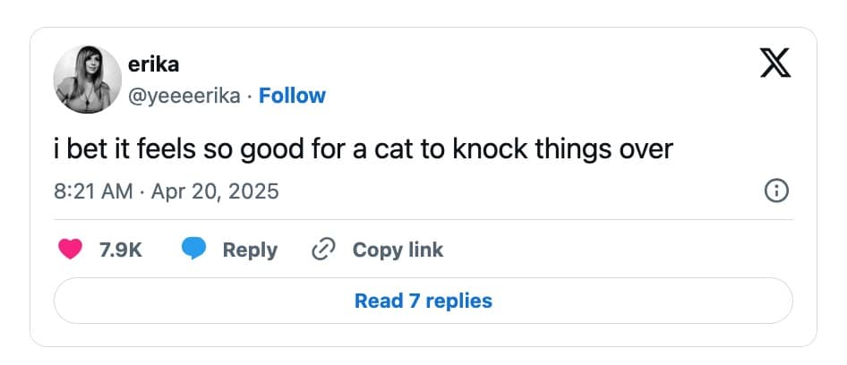 funny cat memes, cat memes, cute cat memes, kitty memes, hilarious cat memes, cat jokes, cat humor, feline memes, cat pics, crazy cat memes, cat laugh memes, cat funny pics, kitty humor, internet cat memes, whisker memes, cat comedy, cat lovers memes, meme cats, feline funny, cat meme dump