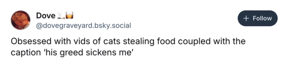 funny cat memes, cat memes, cute cat memes, kitty memes, hilarious cat memes, cat jokes, cat humor, feline memes, cat pics, crazy cat memes, cat laugh memes, cat funny pics, kitty humor, internet cat memes, whisker memes, cat comedy, cat lovers memes, meme cats, feline funny, cat meme dump