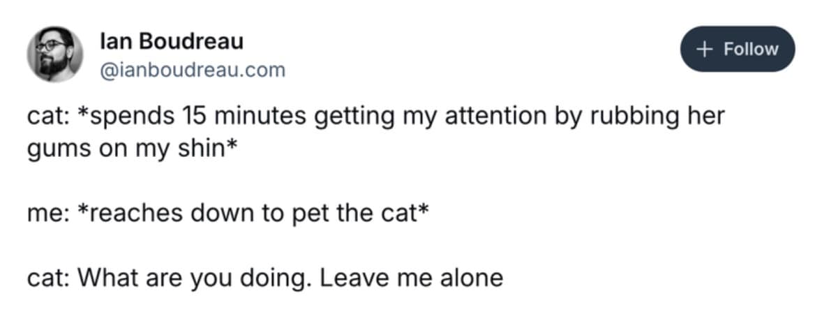 funny cat memes, cat memes, cute cat memes, kitty memes, hilarious cat memes, cat jokes, cat humor, feline memes, cat pics, crazy cat memes, cat laugh memes, cat funny pics, kitty humor, internet cat memes, whisker memes, cat comedy, cat lovers memes, meme cats, feline funny, cat meme dump