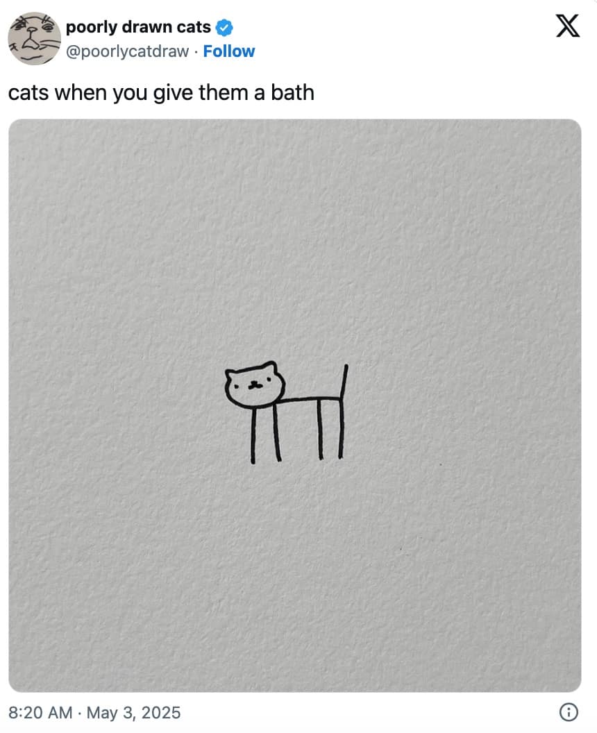 funny cat memes, cat memes, cute cat memes, kitty memes, hilarious cat memes, cat jokes, cat humor, feline memes, cat pics, crazy cat memes, cat laugh memes, cat funny pics, kitty humor, internet cat memes, whisker memes, cat comedy, cat lovers memes, meme cats, feline funny, cat meme dump