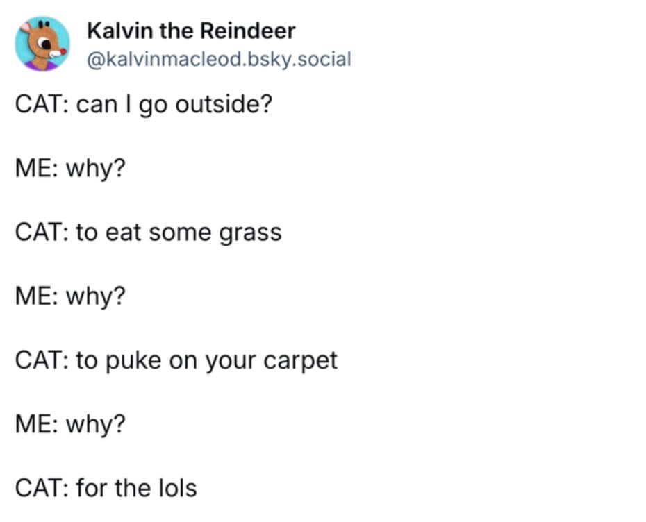 funny cat memes, cat memes, cute cat memes, kitty memes, hilarious cat memes, cat jokes, cat humor, feline memes, cat pics, crazy cat memes, cat laugh memes, cat funny pics, kitty humor, internet cat memes, whisker memes, cat comedy, cat lovers memes, meme cats, feline funny, cat meme dump