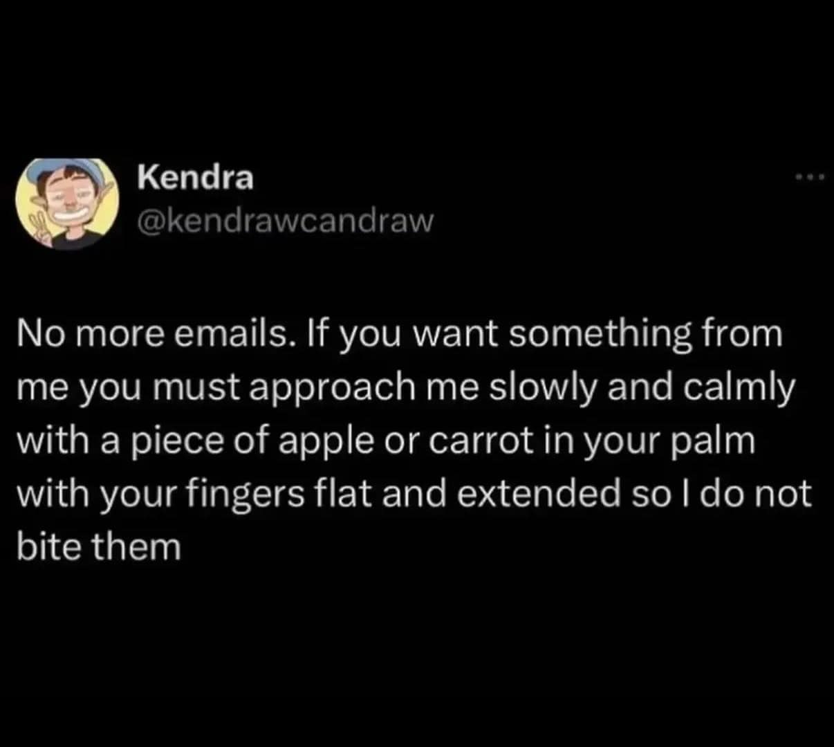 No more emails. If you want something from me you must approach me slowly and calmly with a piece of apple or carrot in your palm with your fingers flat and extended so I do not bite them