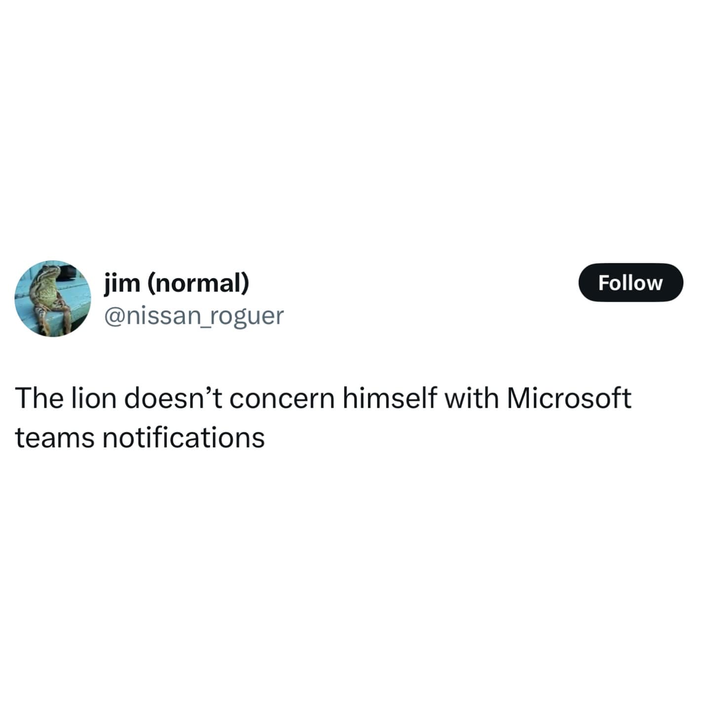 The lion doesn't concern himself with Microsoft teams notifications