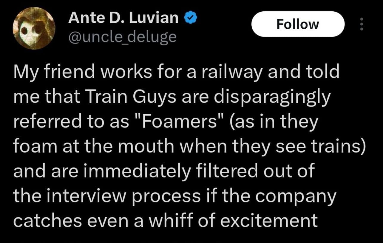 My friend works for a railway and told me that Train Guys are disparagingly referred to as "Foamers" (as in they foam at the mouth when they see trains) and are immediately filtered out of the interview process if the company catches even a whiff of excitement