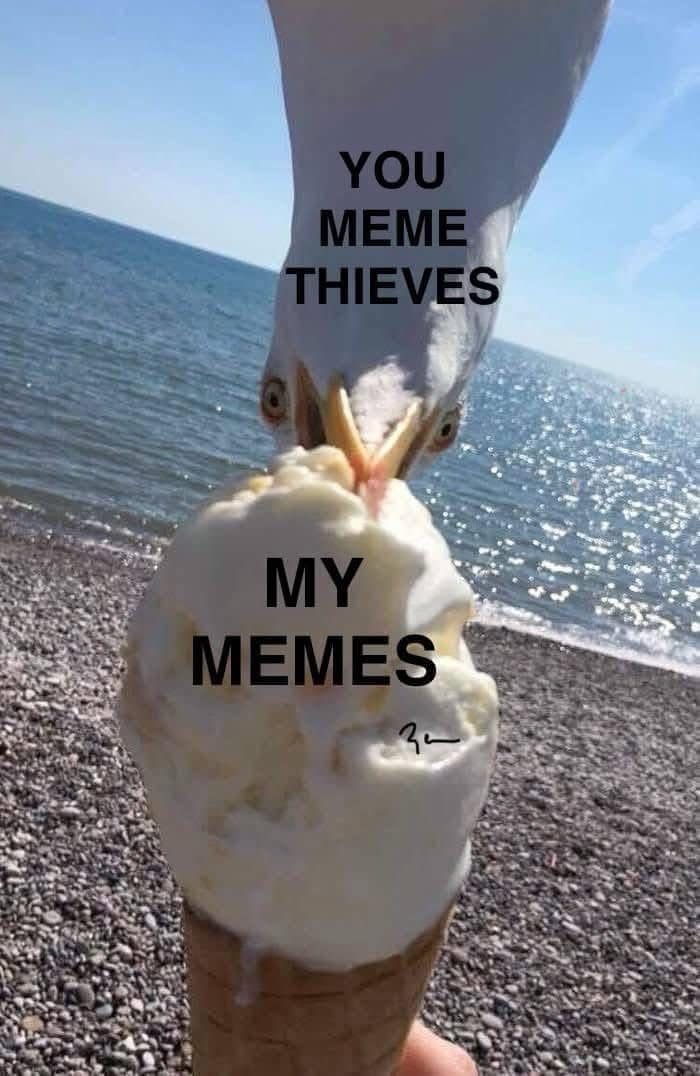 YOU MEME THIEVES MY MEMES