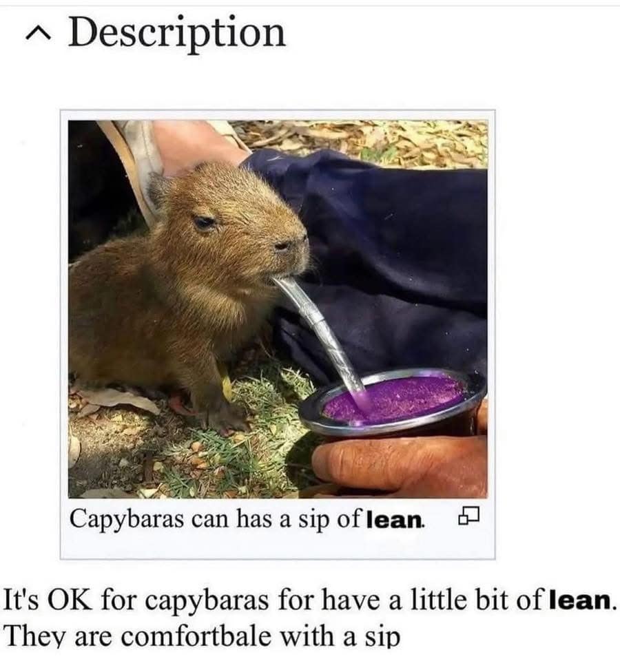 It's OK for capybaras for have a little bit of lean. They are comfortbale with a sip