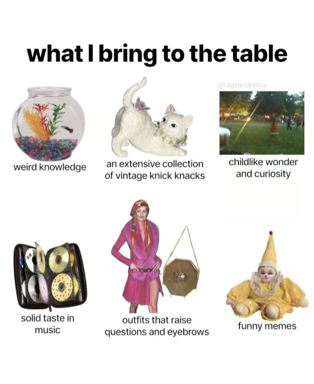 what I bring to the table weird knowledge an extensive collection of vintage knick knacks childlike wonder and curiosity solid taste in music outfits that raise questions and eyebrows funny