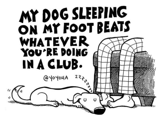 funny sobriety memes, sobriety memes, recovery memes, sober memes, sober jokes, quitting alcohol memes, dry humor, no alcohol memes, funny recovery pics, sobriety humor, sober life memes, giving up drinking memes, sobriety laughs, stay sober memes, alcohol free jokes, sober living memes, funny sober quotes, stop drinking memes, dry January memes, clean living memes