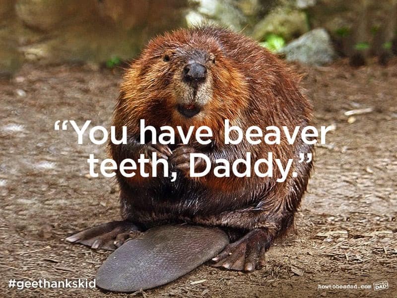 "You have beaver teeth, Daddy