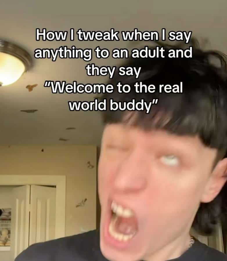 funny tiktok screenshots, funny tiktok, silly short clips, comedic video bits, hilarious app content, viral videos, trending clips, internet sensations, popular online footage, TikTok compilation, video roundup, short-form curation, aggregated content, tiktok memes, dancing jokes, comedic app references, social media humor