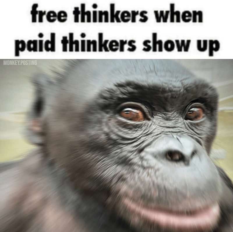 gorilla meme, ape memes, monkey memes, funny animal memes, gorilla jokes, primate memes, chimp memes, zoo memes, banana memes, silverback humor, gorilla memes