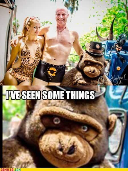 gorilla meme, ape memes, monkey memes, funny animal memes, gorilla jokes, primate memes, chimp memes, zoo memes, banana memes, silverback humor, gorilla memes