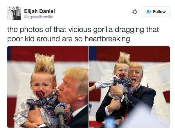 gorilla meme, ape memes, monkey memes, funny animal memes, gorilla jokes, primate memes, chimp memes, zoo memes, banana memes, silverback humor, gorilla memes