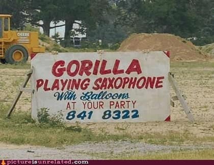 gorilla meme, ape memes, monkey memes, funny animal memes, gorilla jokes, primate memes, chimp memes, zoo memes, banana memes, silverback humor, gorilla memes