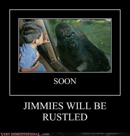 gorilla meme, ape memes, monkey memes, funny animal memes, gorilla jokes, primate memes, chimp memes, zoo memes, banana memes, silverback humor, gorilla memes