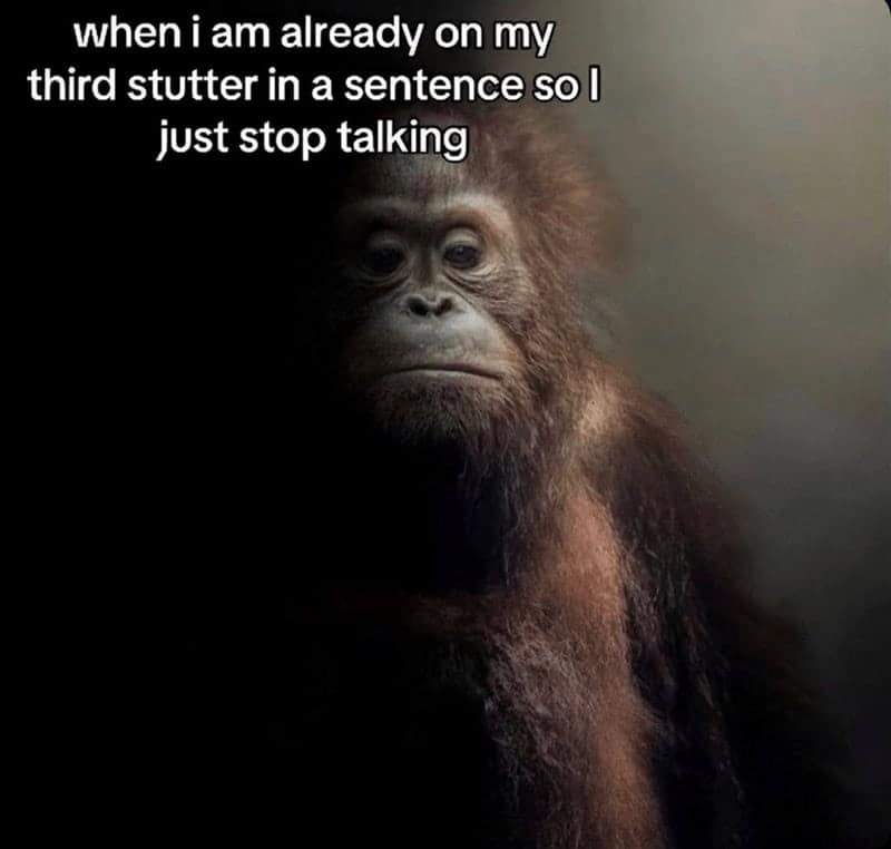 gorilla meme, ape memes, monkey memes, funny animal memes, gorilla jokes, primate memes, chimp memes, zoo memes, banana memes, silverback humor, gorilla memes