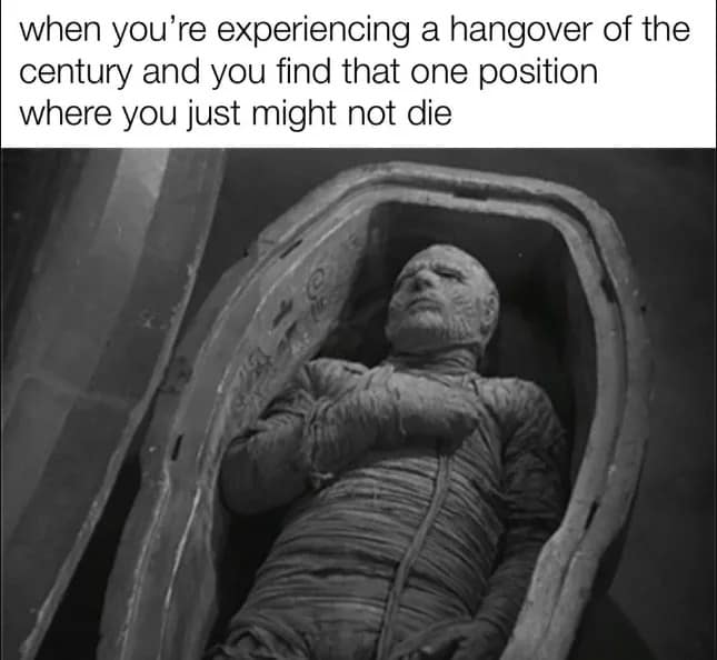 hungover meme, hangover memes, drinking memes, funny memes, alcohol memes, beer memes, wine memes, party memes, headache memes, morning after memes, funny drinking pics, regret memes, booze memes, funny hangover jokes, hydration memes, party fail memes, hangover humor, recovery memes, bar memes, meme hangover