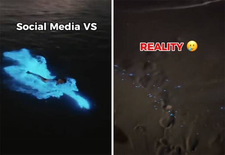 instagram vs reality, IG vs real life, vacation memes, online bloopers, influencer fails