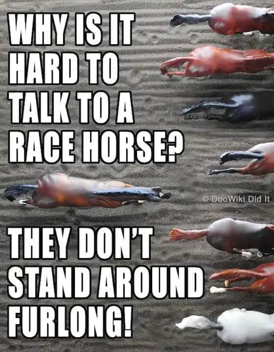kentucky derby memes, horse racing memes, derby day memes, funny horse memes, Churchill Downs jokes, race-day memes, thoroughbred memes, jockey memes, mint julep memes