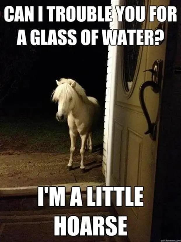 kentucky derby memes, horse racing memes, derby day memes, funny horse memes, Churchill Downs jokes, race-day memes, thoroughbred memes, jockey memes, mint julep memes