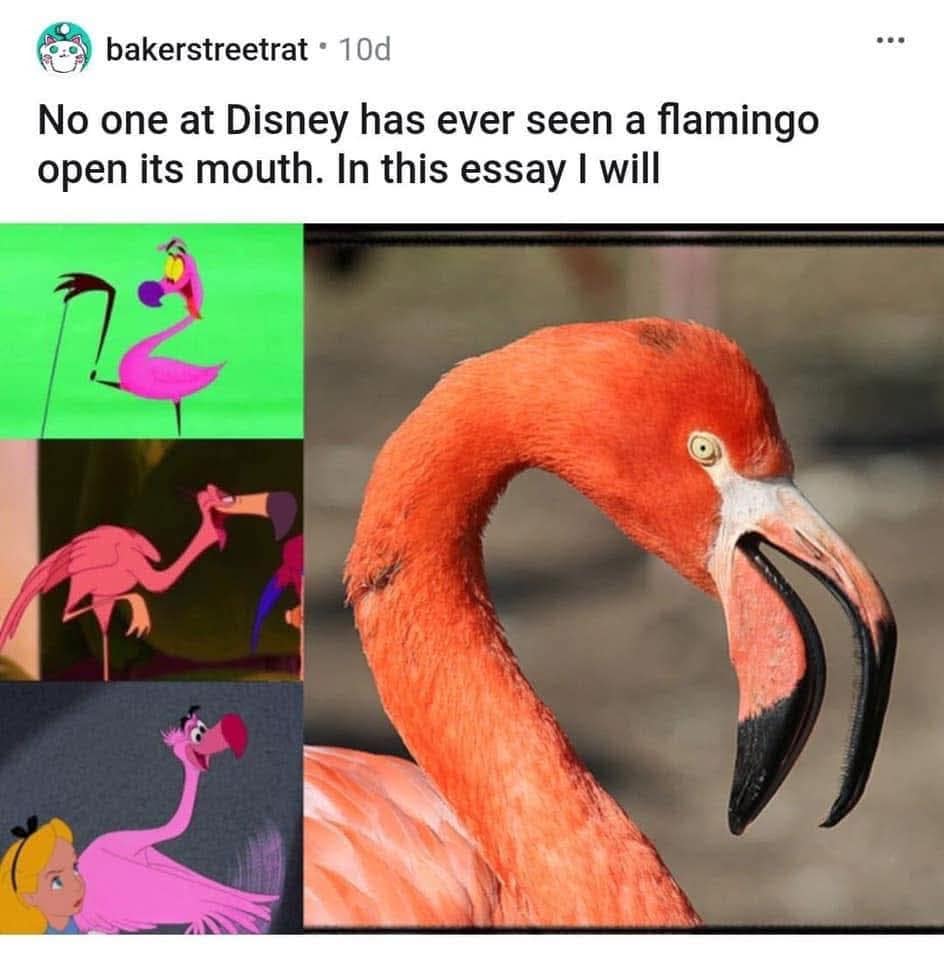 bakerstreetrat • 10d No one at Disney has ever seen a flamingo open its mouth. In this essay I will