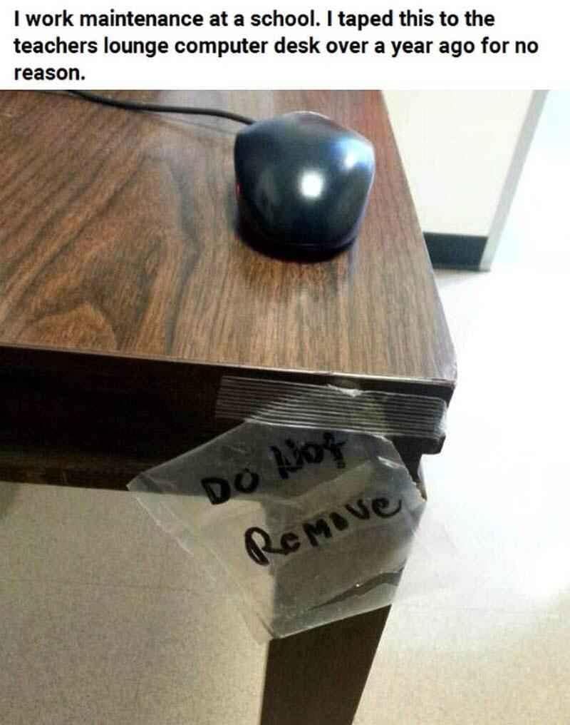 meme dump, funny memes, hilarious memes, trending memes, viral memes, office memes, lunch memes, break-time memes, humor memes, internet memes, dank memes, laugh memes, meme collection, daily memes, dank meme dump, internet meme, memes funny